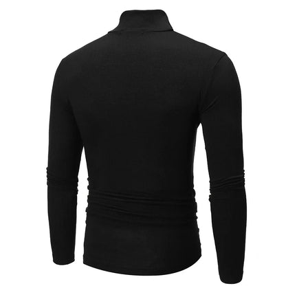 Heren turtle neck